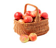 apples in woven basket apples in woven basket