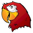 Red Macaw Parrot Red Macaw Parrot