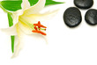 white lily and massage stones isolated