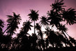 kood island, Trat Thailand