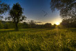 Idyllische Graslandschaft