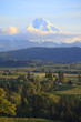 Hood River valley & Mt. Hood