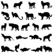 wolves and martens silhouettes set