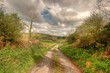 Irish County Road Irish County Road