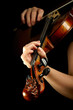 Musician playing violin isolated on black.