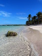 les bords de mer de petite terre