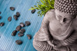 Photo en ligne au meilleur prix Buddha mit Bambus, Massage Steinen und Schale mit Bl�ten