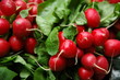 Radishes