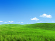 Nature collection - Green meadow template Nature collection - Green meadow template