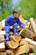 Photo: Holzstapel Holzstapel