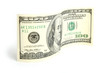 Hundred dollar bill