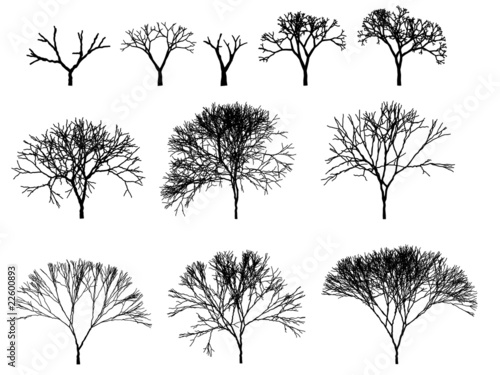 tree silhouette pictures. tree silhouette outline