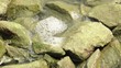 Stream of Polluted Water