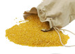 Maize flour in the bag - gluten free, isolated Maize flour in the bag - gluten free, isolated