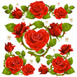 Red Rose design elements Red Rose design elements