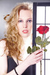 Junge brünette Beauty mit roter Rose, hoch