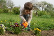 Boy carefully watered flowers