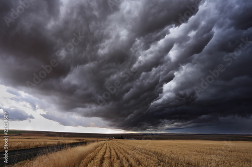 Foto: The autumn storm The autumn storm