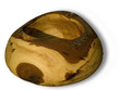 Photo: saucer saucer