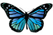 monarch butterfly