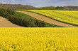 landschaft
