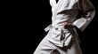 Karateka isolated on black