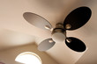 Ceiling fan