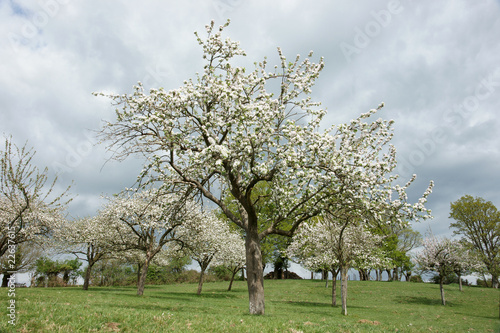 Photo: Paysage campagne 16 Paysage campagne 16