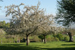 Paysage campagne 22