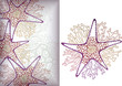 Sea Life 6 Sea Life 6