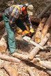 Lumberjack