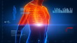 Whole human body xray scan