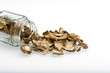 Porcini Mushrooms Spilling Out Of A Jar