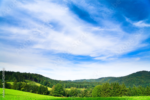 Photo: Summer Landscape Summer Landscape