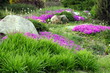 Garden Design with Rocks and Flowers (5)
