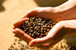 Kaffee Bohnen Hände Leinensack