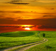 Summer landscape with green grass, road and sunset