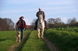 Foto: Spaziergang mit Hund und Pferd 3 Spaziergang mit Hund und Pferd 3