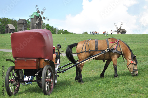 Photo: horse-drawn vehicle horse-drawn vehicle