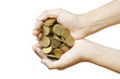 Handful of Coins