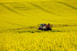 Traktor im Rapsfeld