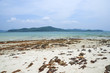 Phuket beach Thailand