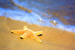 Starfish and ocean wave on sandy tropical beach Starfish and ocean wave on sandy tropical beach