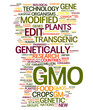 GMO Transgenic Food GMO Transgenic Food