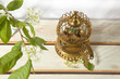 still-life with golden antique birdcage