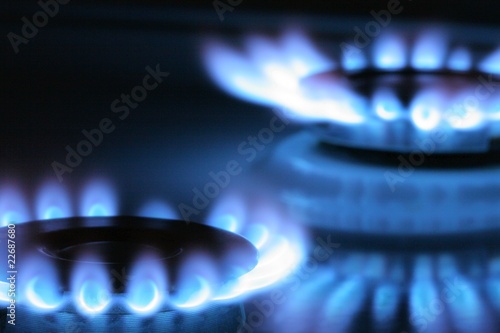 Photo: Flames of a gas stove Flames of a gas stove