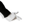 Butler pointing