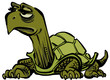 vector cartoon turtle