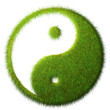 Yin Yang d'erba