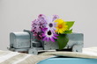 Frühlingsblumen